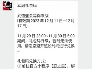 如何获取忍者必须死 2 激活码？超详细领取攻略