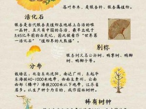 探索江南百景图百年银杏的奥秘：它究竟有何神奇用途？