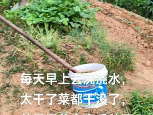 村长压在小雪身上耕耘视频：体验真实务农生活，感受丰收的喜悦