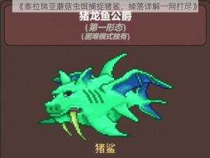 《泰拉瑞亚蘑菇虫饵捕捉猪鲨，掉落详解一网打尽》