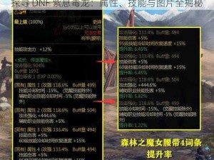 探寻 DNF 紫息毒龙：属性、技能与图片全揭秘