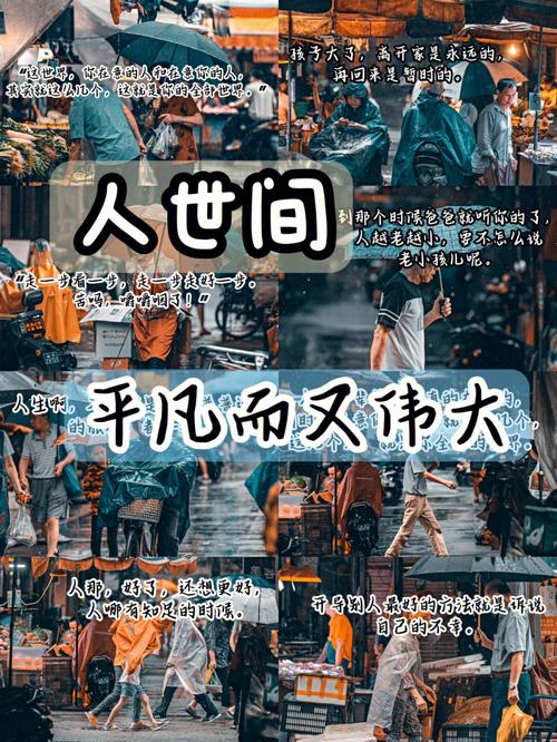 年经年经母年经 2 的——打造舒适生活的理想之选