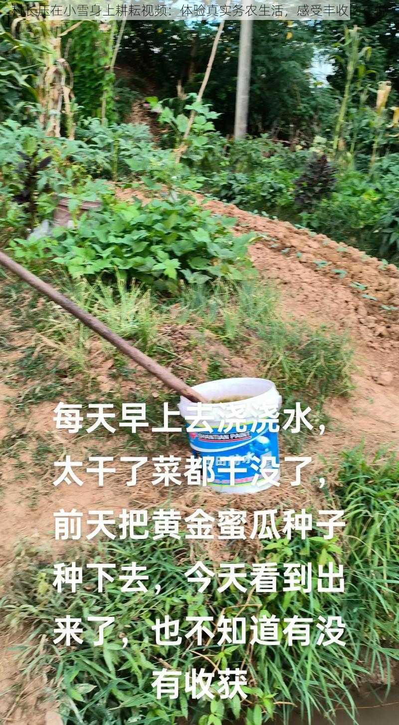 村长压在小雪身上耕耘视频：体验真实务农生活，感受丰收的喜悦