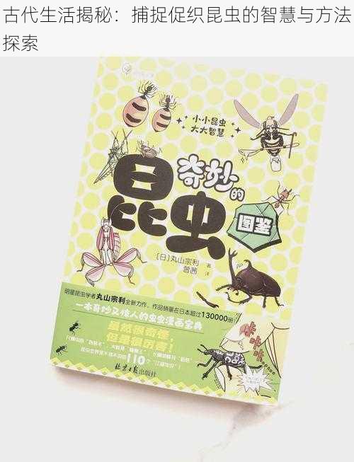 古代生活揭秘:捕捉促织昆虫的智慧与方法探索