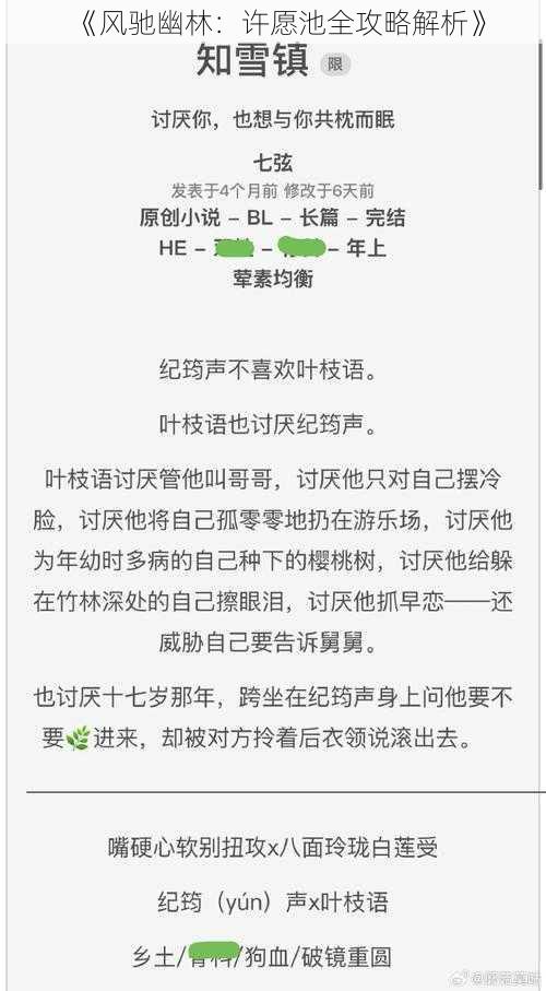 《风驰幽林：许愿池全攻略解析》