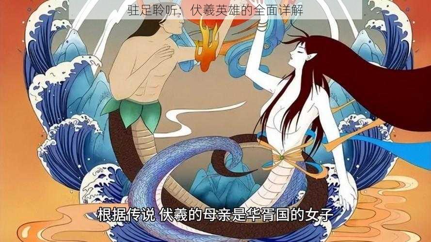 驻足聆听：伏羲英雄的全面详解