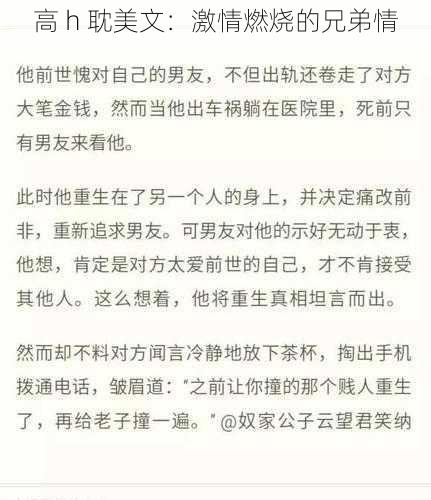 高 h 耽美文：激情燃烧的兄弟情