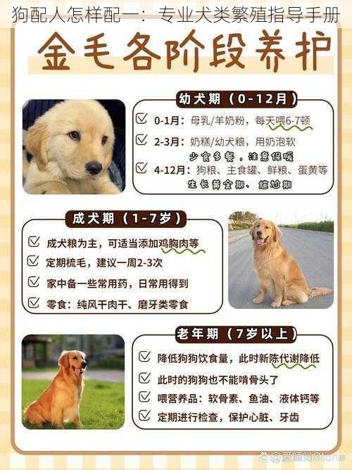 狗配人怎样配一：专业犬类繁殖指导手册