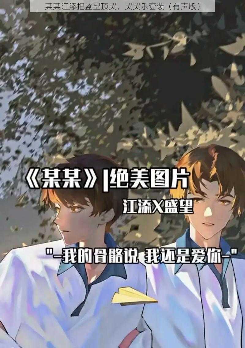 某某江添把盛望顶哭，哭哭乐套装（有声版）