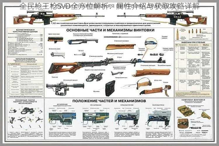 全民枪王枪SVD全方位解析：属性介绍与获取攻略详解