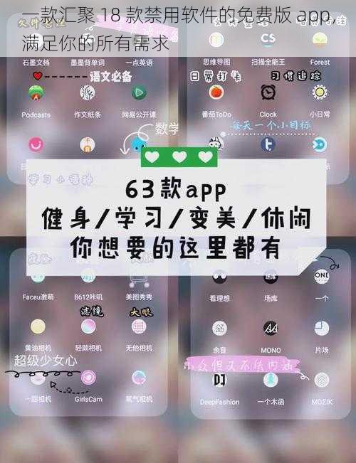 一款汇聚 18 款禁用软件的免费版 app，满足你的所有需求