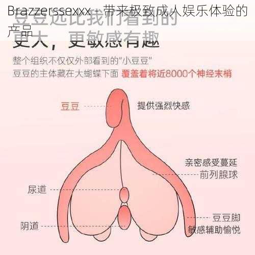 Brazzerssexxx - 带来极致成人娱乐体验的产品