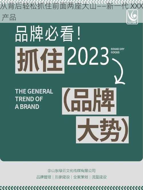 从背后轻松抓住前面两座大山——新一代 XXX 产品