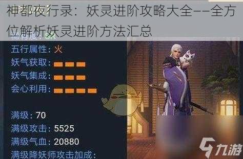 神都夜行录：妖灵进阶攻略大全——全方位解析妖灵进阶方法汇总