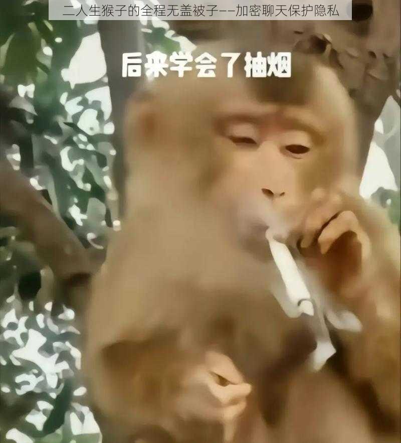 二人生猴子的全程无盖被子——加密聊天保护隐私