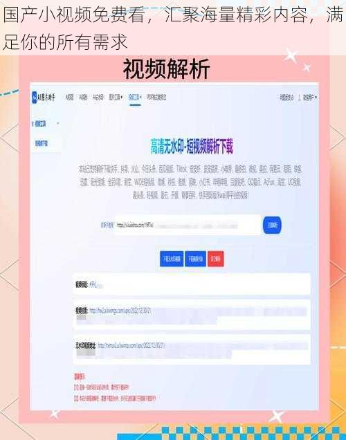 国产小视频免费看，汇聚海量精彩内容，满足你的所有需求
