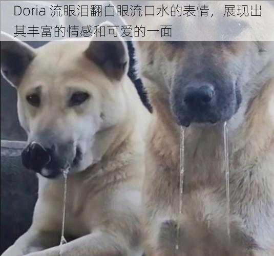 Doria 流眼泪翻白眼流口水的表情，展现出其丰富的情感和可爱的一面