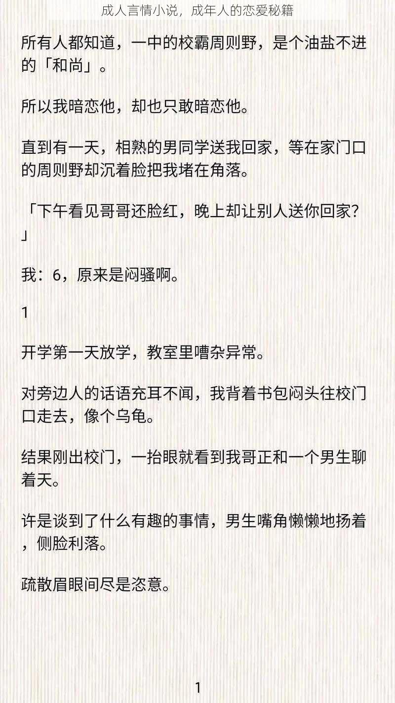 成人言情小说，成年人的恋爱秘籍