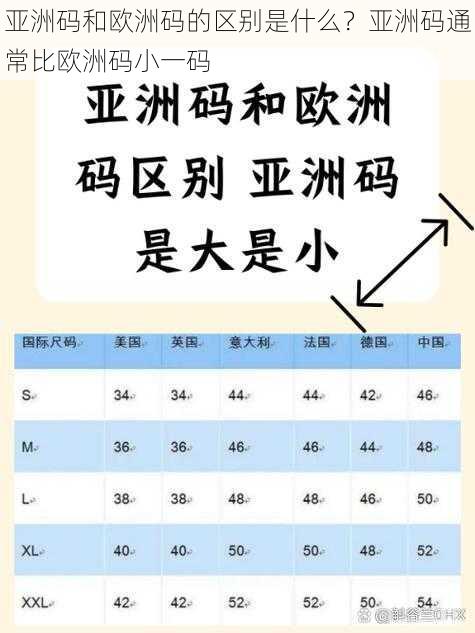 亚洲码和欧洲码的区别是什么？亚洲码通常比欧洲码小一码