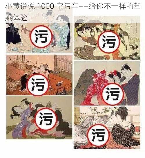 小黄说说 1000 字污车——给你不一样的驾乘体验