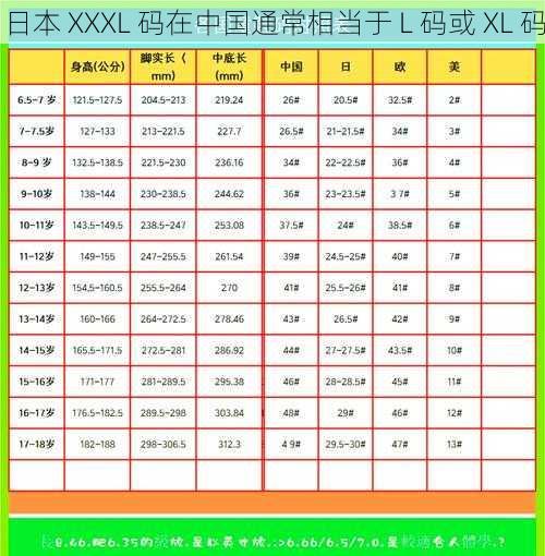 日本 XXXL 码在中国通常相当于 L 码或 XL 码