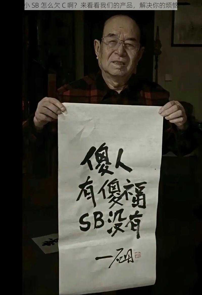 小 SB 怎么欠 C 啊？来看看我们的产品，解决你的烦恼