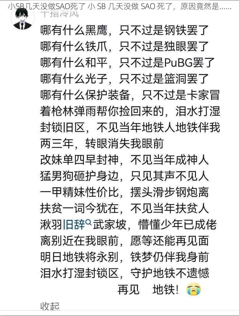 小SB几天没做SAO死了 小 SB 几天没做 SAO 死了，原因竟然是......