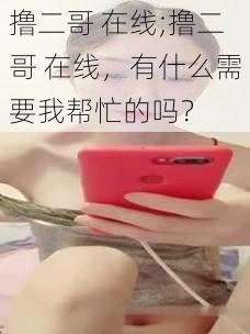 撸二哥 在线;撸二哥 在线，有什么需要我帮忙的吗？