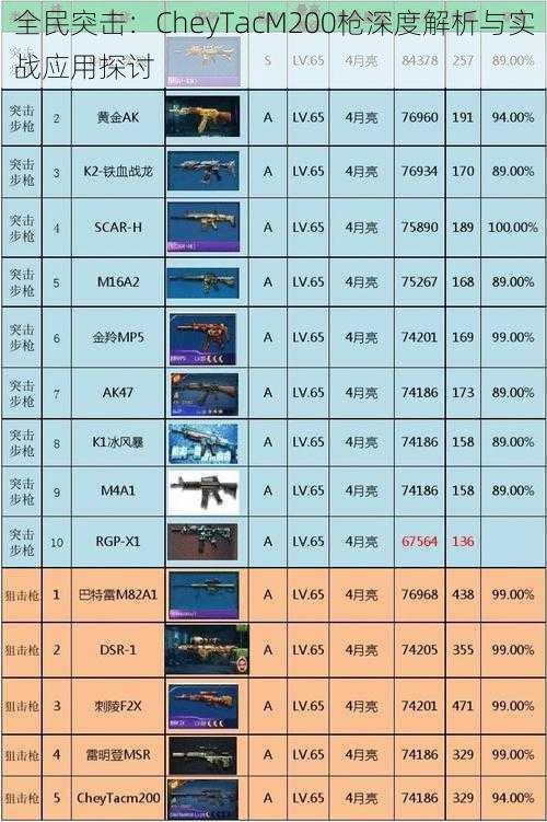 全民突击：CheyTacM200枪深度解析与实战应用探讨