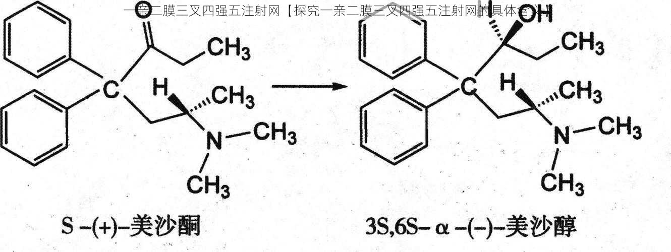 一亲二膜三叉四强五注射网【探究一亲二膜三叉四强五注射网的具体含义】