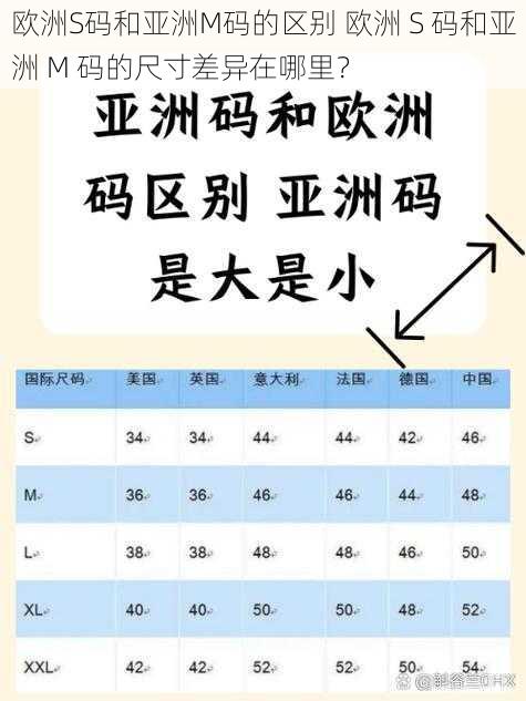 欧洲S码和亚洲M码的区别 欧洲 S 码和亚洲 M 码的尺寸差异在哪里？