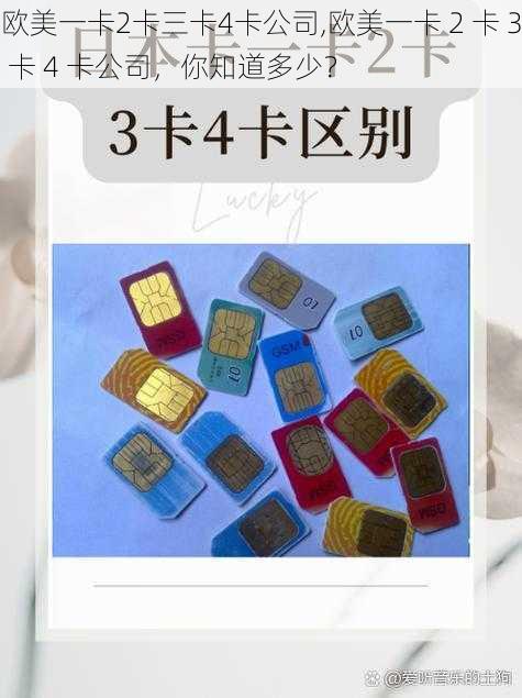 欧美一卡2卡三卡4卡公司,欧美一卡 2 卡 3 卡 4 卡公司，你知道多少？