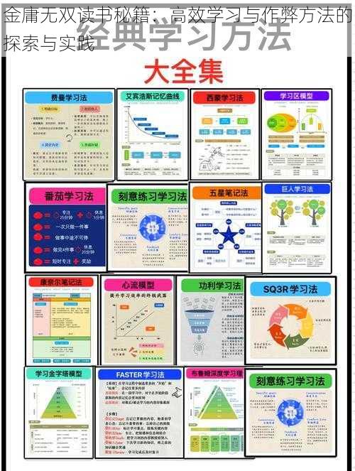 金庸无双读书秘籍：高效学习与作弊方法的探索与实践