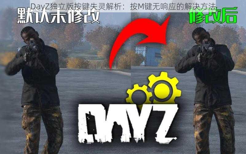 DayZ独立版按键失灵解析：按M键无响应的解决方法