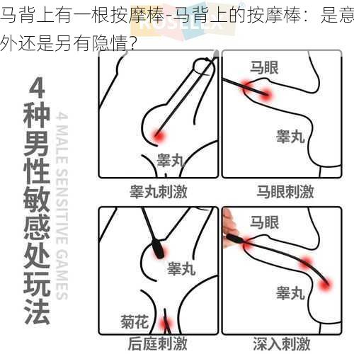 马背上有一根按摩棒-马背上的按摩棒：是意外还是另有隐情？