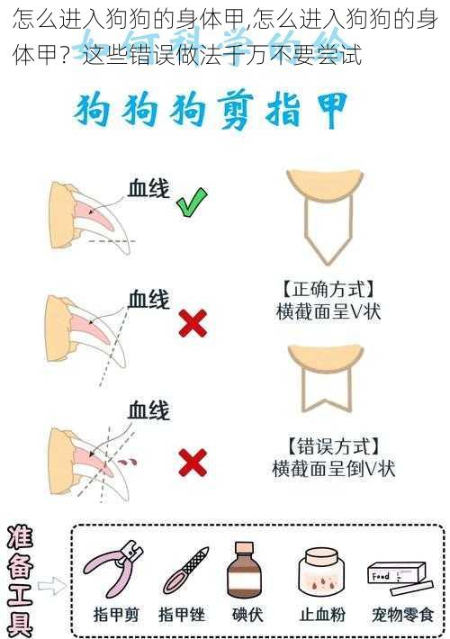 怎么进入狗狗的身体甲,怎么进入狗狗的身体甲？这些错误做法千万不要尝试