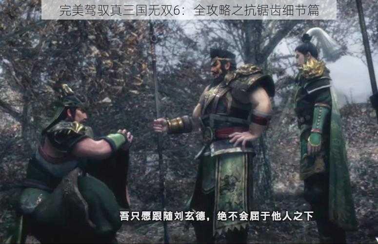 完美驾驭真三国无双6：全攻略之抗锯齿细节篇