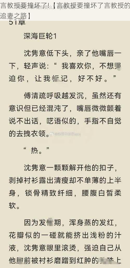 言教授要撞坏了!【言教授要撞坏了言教授的追妻之路】