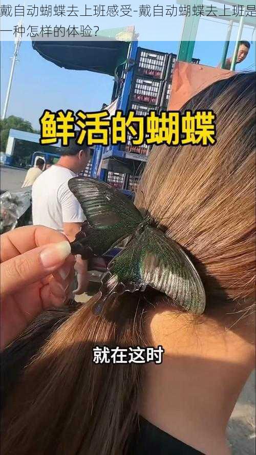 戴自动蝴蝶去上班感受-戴自动蝴蝶去上班是一种怎样的体验？