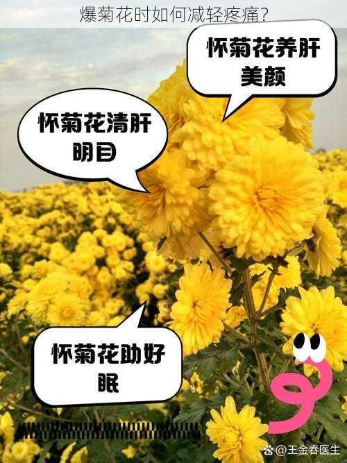 爆菊花时如何减轻疼痛？