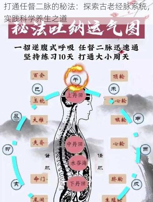 打通任督二脉的秘法：探索古老经脉系统，实践科学养生之道