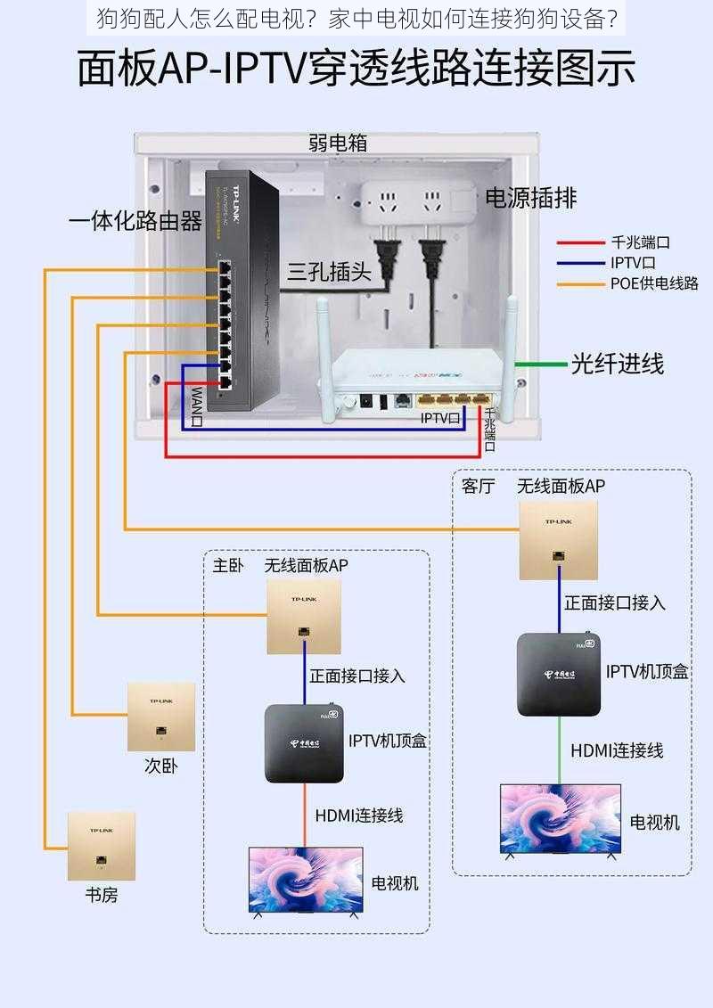 狗狗配人怎么配电视？家中电视如何连接狗狗设备？