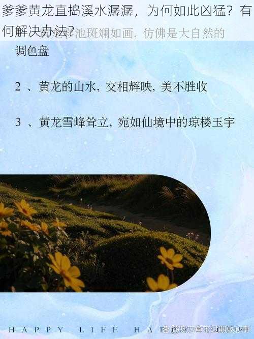 爹爹黄龙直捣溪水潺潺，为何如此凶猛？有何解决办法？