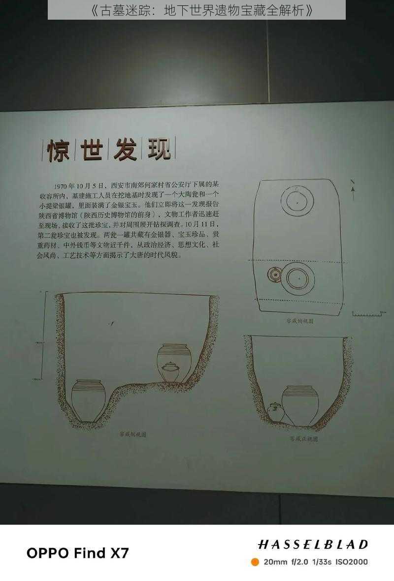 《古墓迷踪：地下世界遗物宝藏全解析》