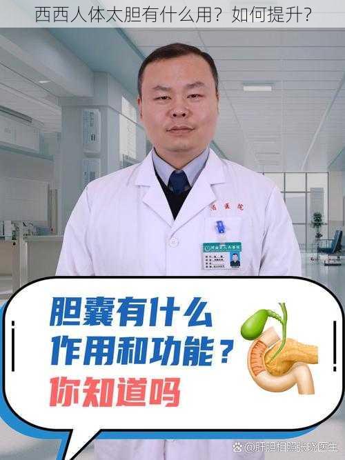 西西人体太胆有什么用？如何提升？