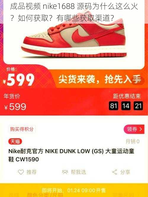 成品视频 nike1688 源码为什么这么火？如何获取？有哪些获取渠道？