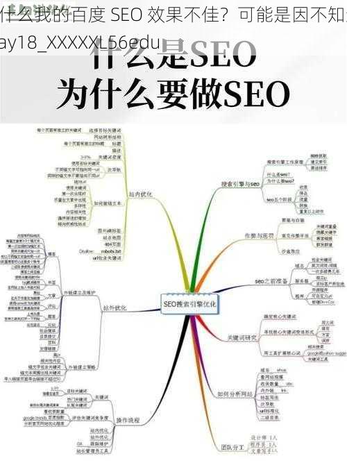 为什么我的百度 SEO 效果不佳？可能是因不知道 may18_XXXXXL56edu