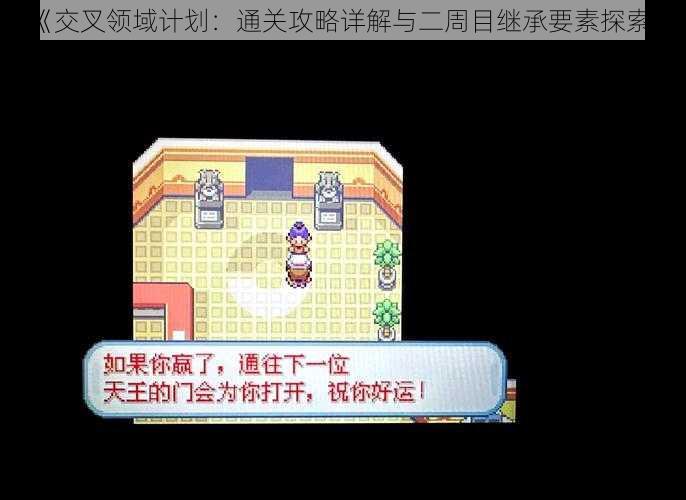 《交叉领域计划：通关攻略详解与二周目继承要素探索》