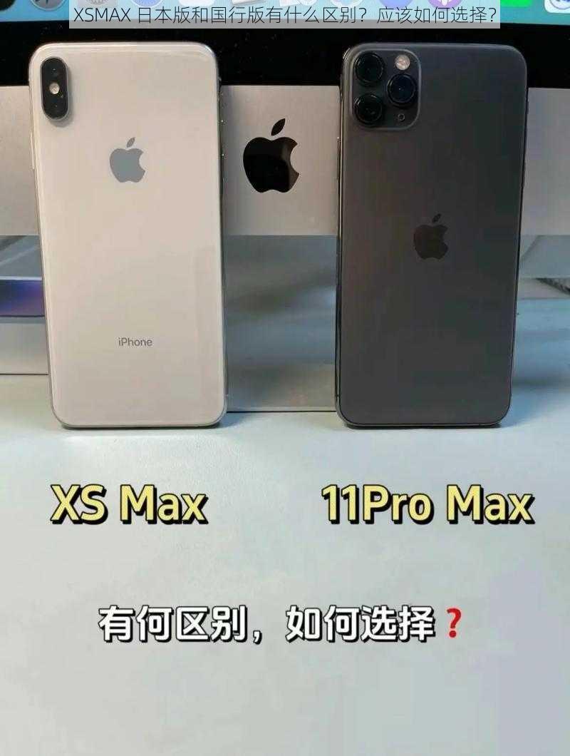 XSMAX 日本版和国行版有什么区别？应该如何选择？