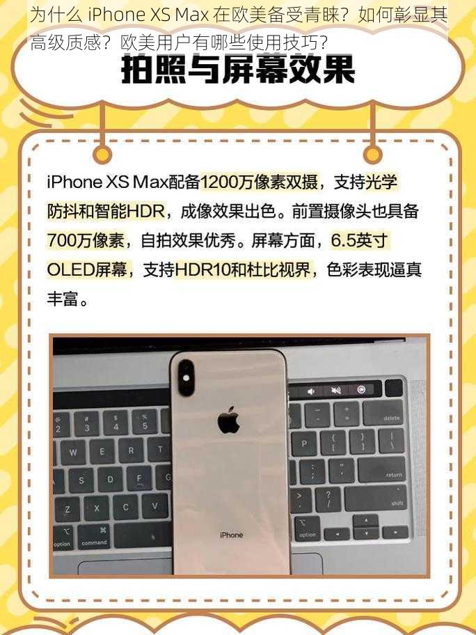 为什么 iPhone XS Max 在欧美备受青睐？如何彰显其高级质感？欧美用户有哪些使用技巧？